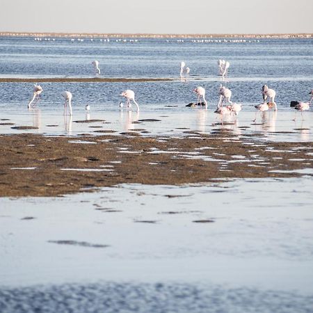 Flamingo Villas Boutique Hotel Walvis Bay Exterior photo